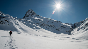 Snowshoeing tour with Arctic Booking Kvaløya